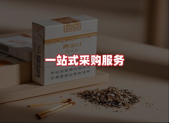 专业团队